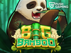 Betmgm michigan online casino3